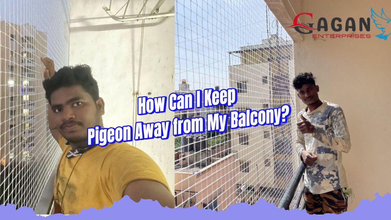 How Can I Keep Pigeons Away from My Balcony?
