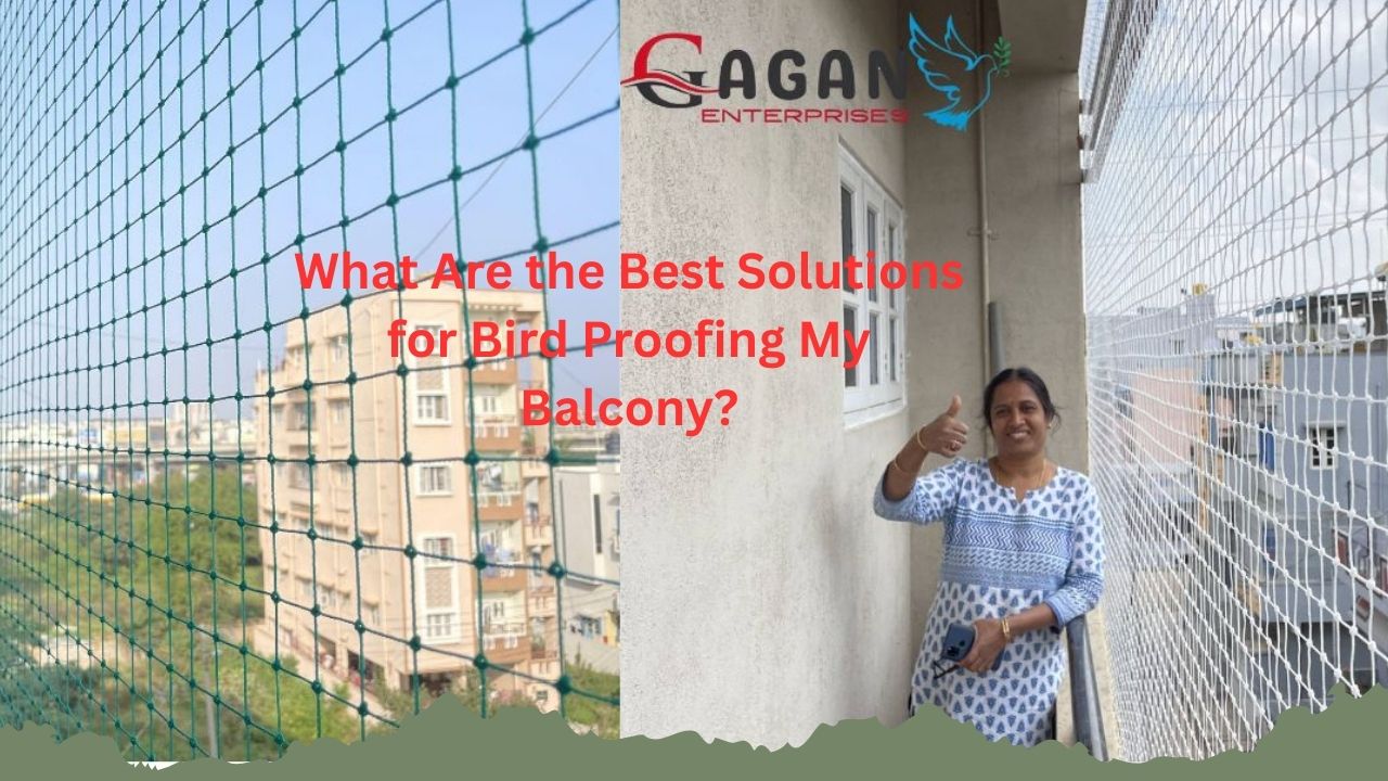 What Are the Best Solutions for Bird Proofing My Balcony?