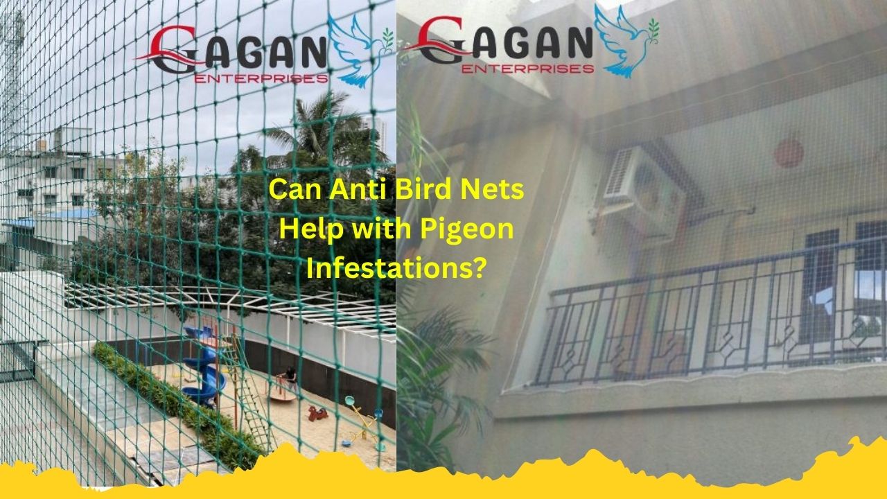 Can Anti Bird Nets Help with Pigeon Infestations?