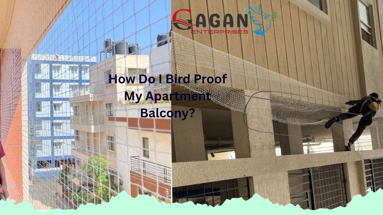 How Do I Bird Proof My Apartment Balcony?