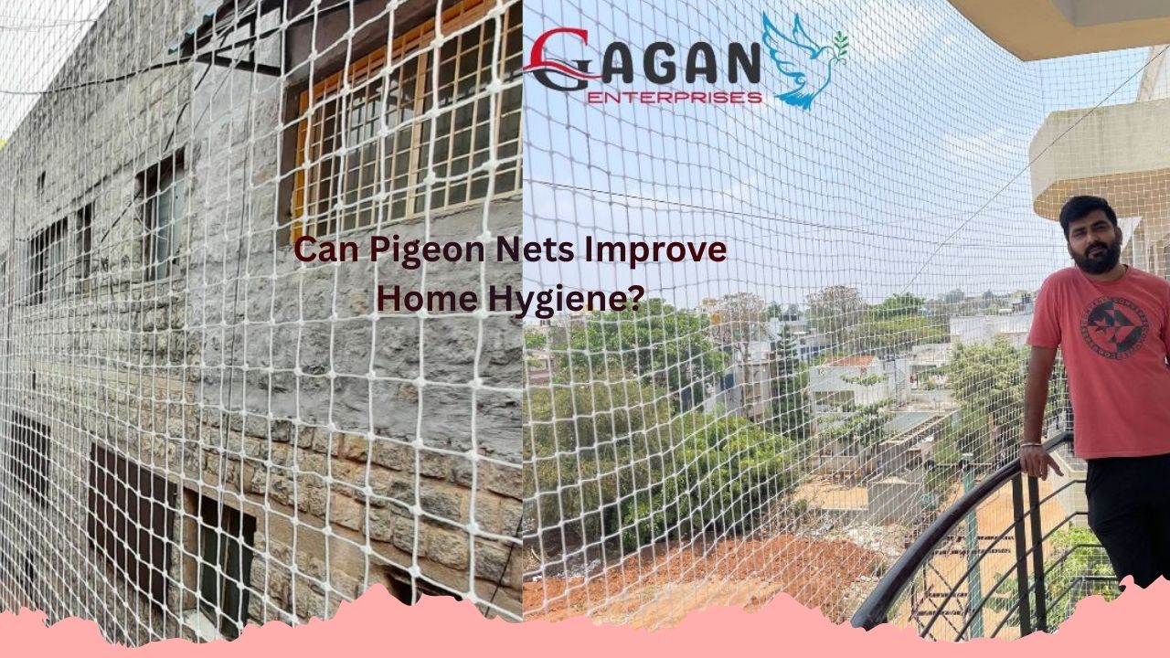 Can Pigeon Nets Improve Home Hygiene?