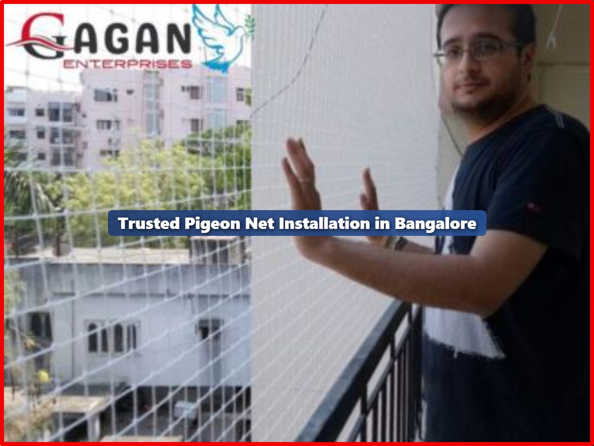 Pigeon Net Installation in Bangalore: A Complete Balcony Protection Guide