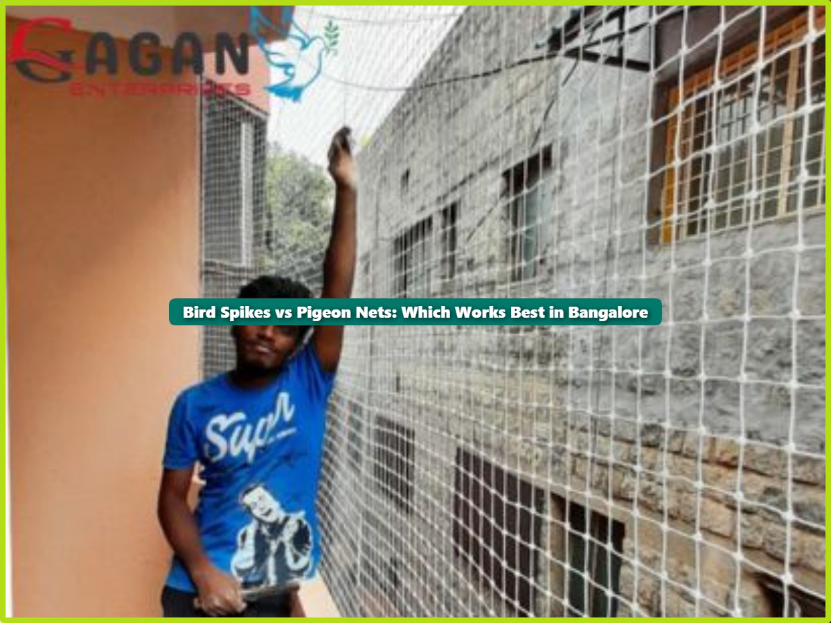 Bird Spikes vs Pigeon Nets: Which Bird Control Solution Works Best?