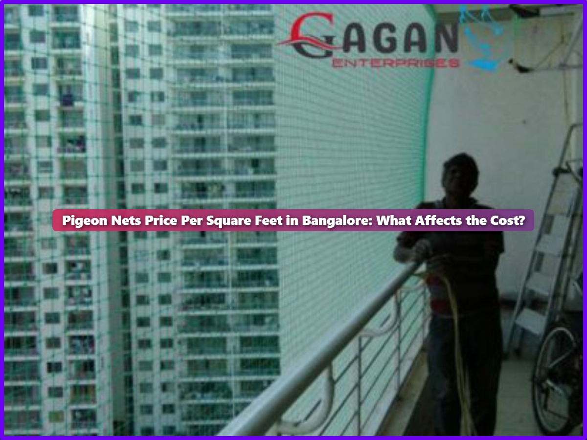 Pigeon Net Price Per Square Feet in Bangalore: What Affects the Cost?